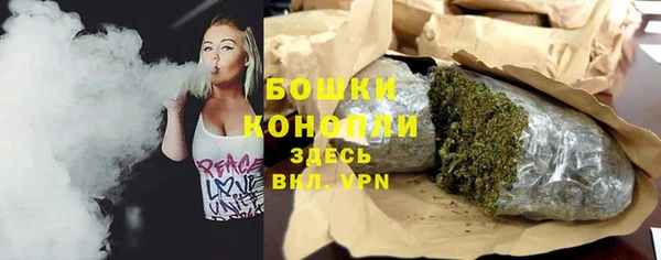 прущие грибы Балахна