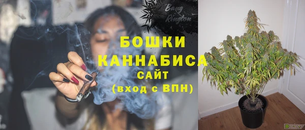 прущие грибы Балабаново