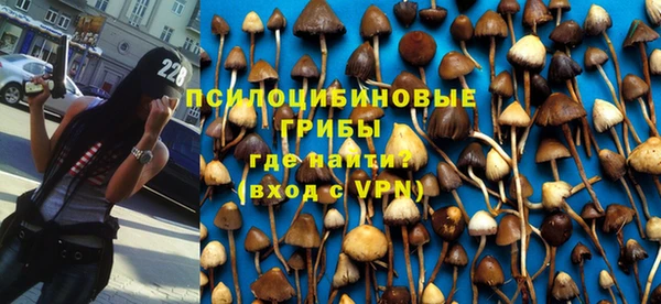 прущие грибы Балахна