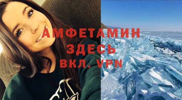 прущие грибы Балабаново