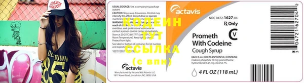 прущие грибы Балахна