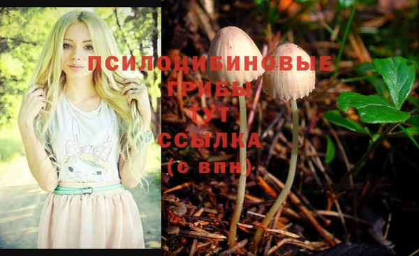 прущие грибы Балабаново