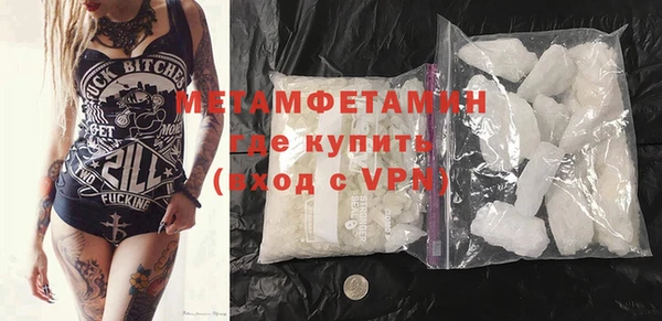 прущие грибы Балабаново