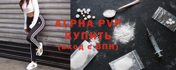 прущие грибы Балабаново