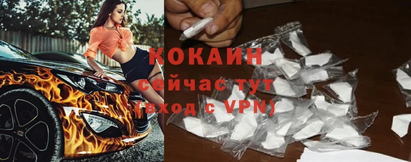 прущие грибы Балахна