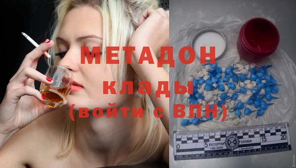 прущие грибы Балабаново