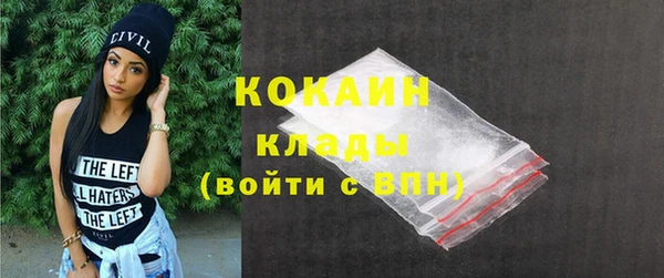прущие грибы Балабаново