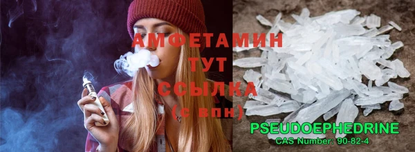 прущие грибы Балабаново