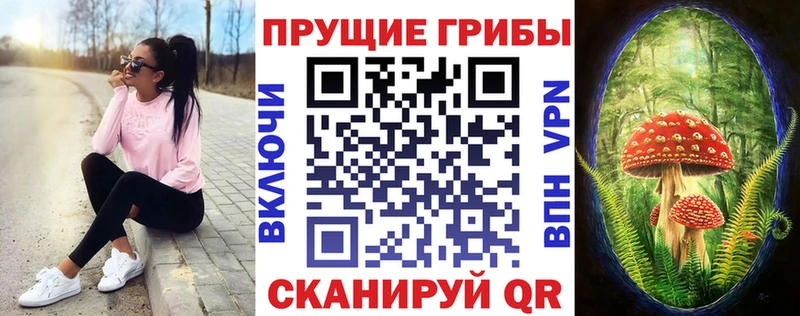 Псилоцибиновые грибы ЛСД  Купить где  Дегтярск 